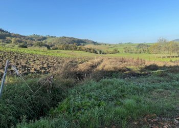 Terreno edificabile strada Tordenaso, frazione Tordenaso, Langhirano - foto 1