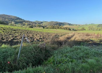 Terreno edificabile strada Tordenaso, frazione Tordenaso, Langhirano - foto 3