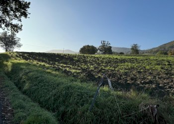 Terreno edificabile strada Tordenaso, frazione Tordenaso, Langhirano - foto 4