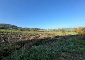 Terreno edificabile strada Tordenaso, frazione Tordenaso, Langhirano - foto 5