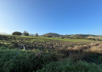 Terreno edificabile strada Tordenaso, frazione Tordenaso, Langhirano - foto 6