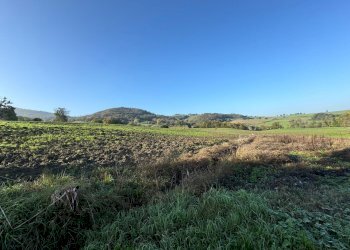 Terreno edificabile strada Tordenaso, frazione Tordenaso, Langhirano - foto 7
