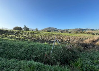 Terreno edificabile strada Tordenaso, frazione Tordenaso, Langhirano - foto 8