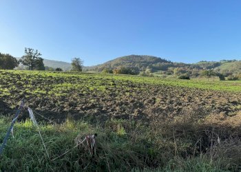 Terreno edificabile strada Tordenaso, frazione Tordenaso, Langhirano - foto 9