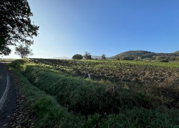 Terreno edificabile strada Tordenaso, frazione Tordenaso, Langhirano - foto 10