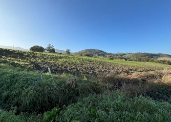 Terreno edificabile strada Tordenaso, frazione Tordenaso, Langhirano - foto 11
