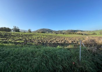 Terreno edificabile strada Tordenaso, frazione Tordenaso, Langhirano - foto 12