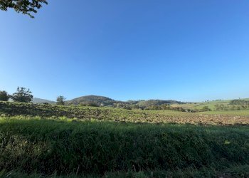 Terreno edificabile strada Tordenaso, frazione Tordenaso, Langhirano - foto 13