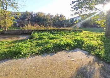 Cascina Località Roata, Lequio Tanaro - foto 8