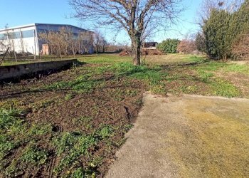 Cascina Località Roata, Lequio Tanaro - foto 16