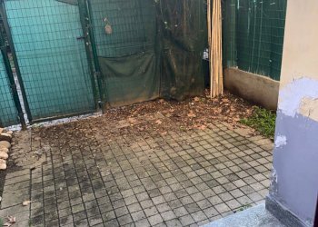 Bilocale Via Don Caustico, Grugliasco - foto 20