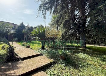 Appartamento Scisciano - foto 17