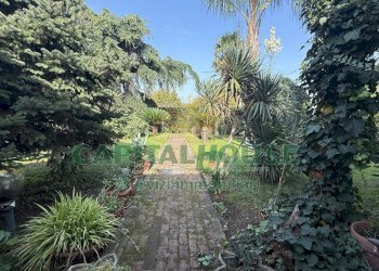 Appartamento Scisciano - foto 22