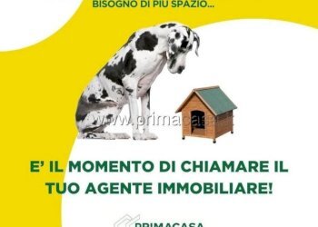 Altro - Villa via ROSSINI, 01, Scorzè - foto 12