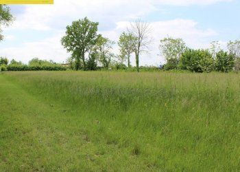 Terreno - Rustico via MAZZINI, 03, Scorzè - foto 5