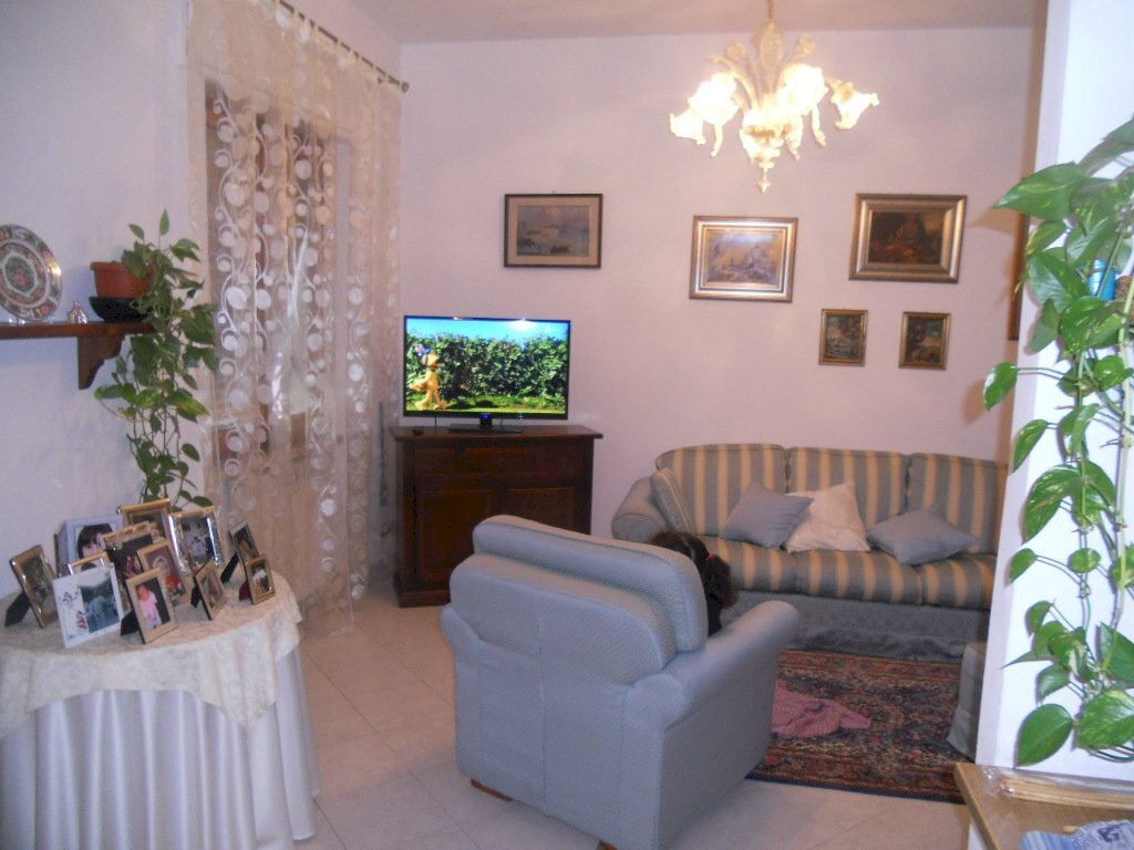 DSCN7119.jpg - Appartamento Castelnuovo Magra - foto 1