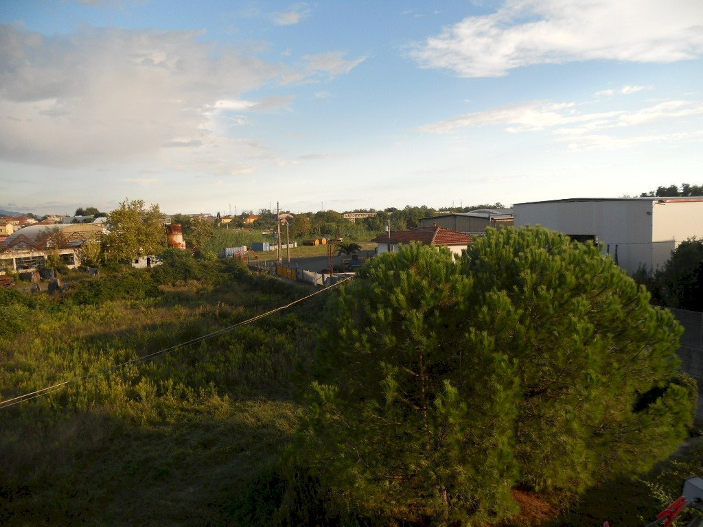 DSCN7111.jpg - Appartamento Castelnuovo Magra - foto 2