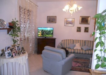 DSCN7119.jpg - Appartamento Castelnuovo Magra - foto 1