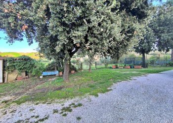 Casa indipendente via roma, Tavullia - foto 24