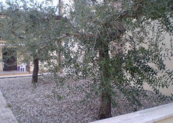 Giardino - Trilocale via Cesare Battisti, 11, San Nazzaro - foto 13