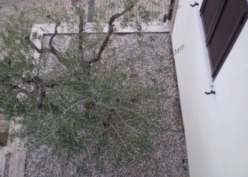 Giardino - Trilocale via Cesare Battisti, 11, San Nazzaro - foto 26