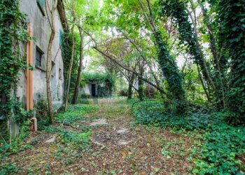 Giardino - Rustico via Navicella, Forlì - foto 14