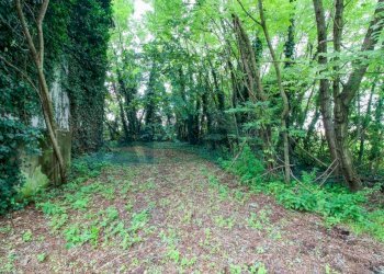 Terreno - Rustico via Navicella, Forlì - foto 16