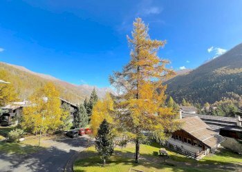 Three-room apartment Via della pineta, Pragelato - photo 21