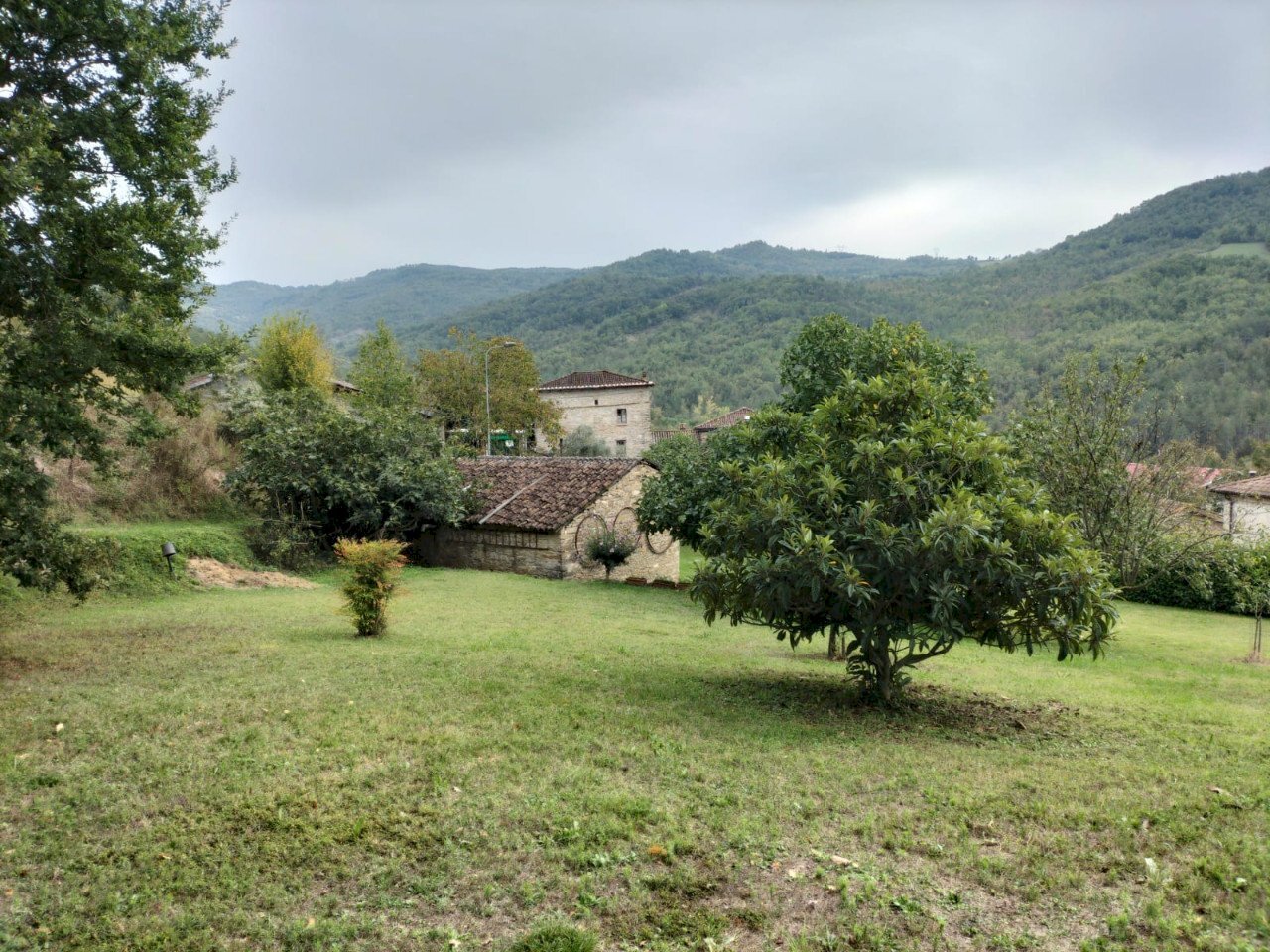 Rustic Travo - photo 2