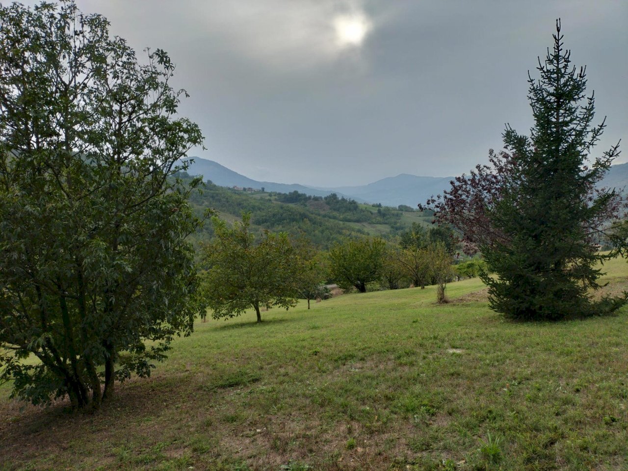 Rustic Travo - photo 3