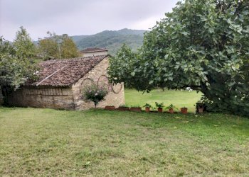 Rustic Travo - photo 1