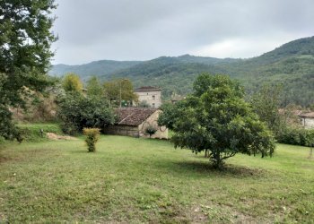 Rustic Travo - photo 2