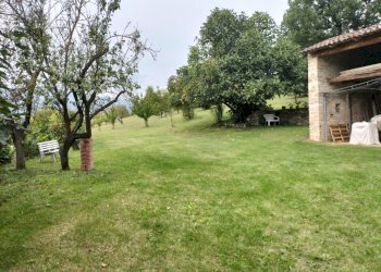 Rustic Travo - photo 6