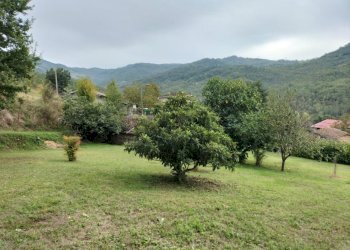 Rustic Travo - photo 9