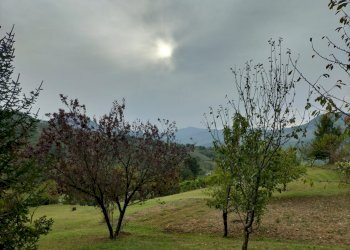 Rustic Travo - photo 10