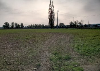 Terreno edificabile Rivergaro - foto 2