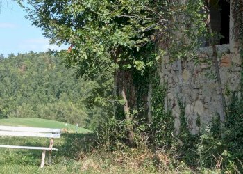 Rustic Carpineti - photo 5