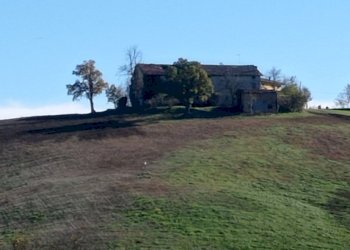 Rustic Carpineti - photo 10