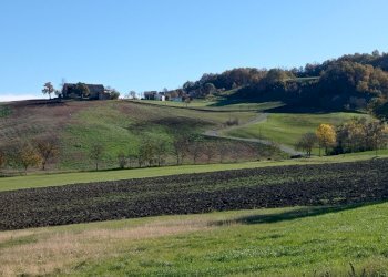 Rustic Carpineti - photo 11