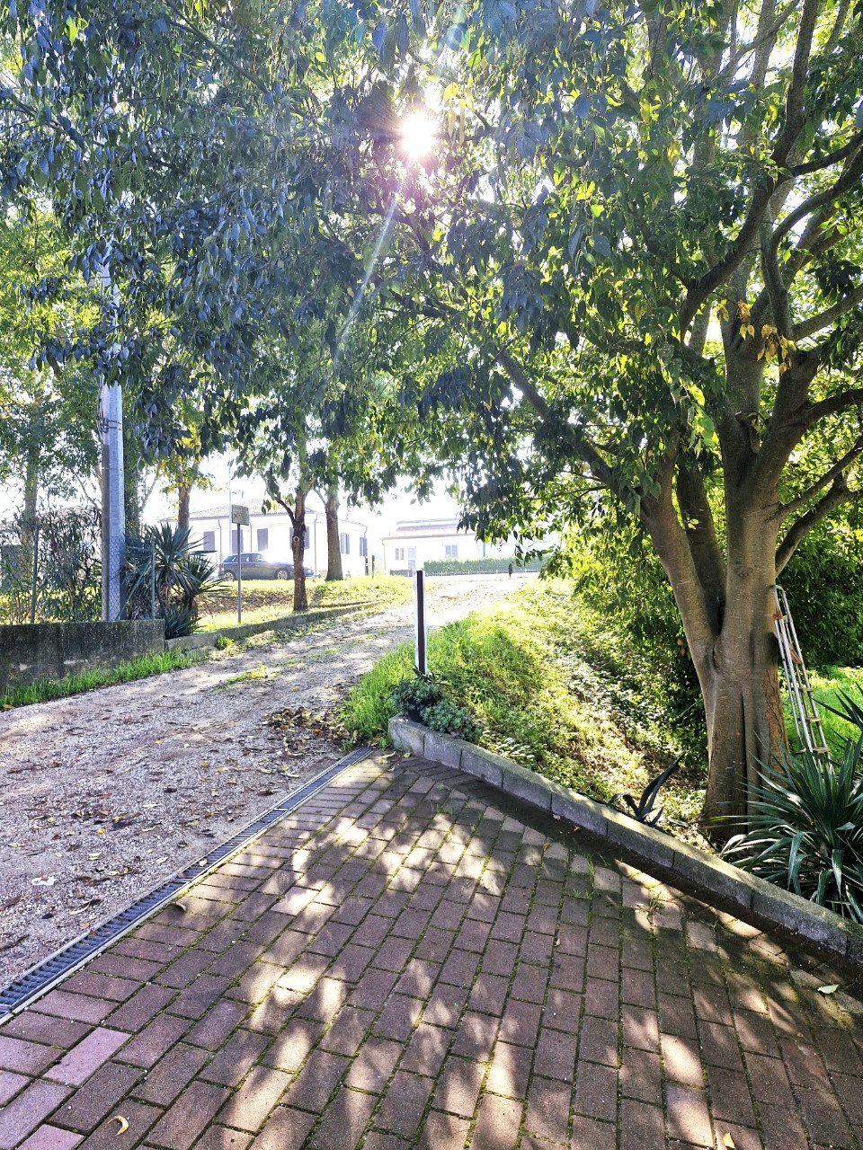 Villa a Schiera Ferrara - foto 2