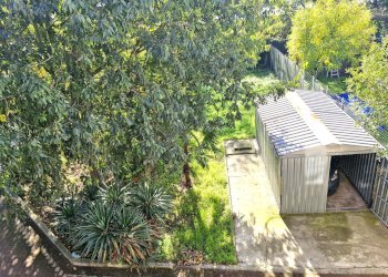 Villa a Schiera Ferrara - foto 21