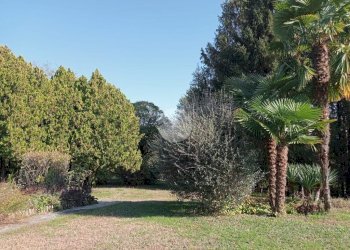 Villa Corso Italia, Gassino Torinese - foto 6