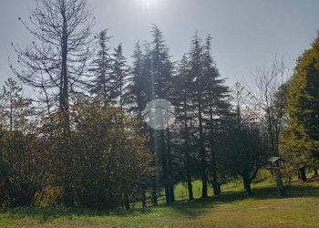 Villa Corso Italia, Gassino Torinese - foto 8