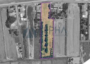 Mappa - Terreno edificabile via Andrea Dragoni, Forlì - foto 2