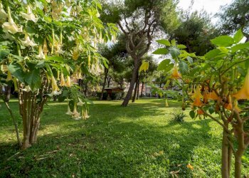 Two-room apartment Via Paganini, San Benedetto del Tronto - photo 16