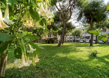 Trilocale Via Paganini, San Benedetto del Tronto - foto 18