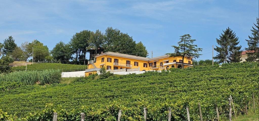 Terreno - Rustico via Bionzo, Calosso - foto 2