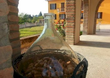 Giardino - Rustico via Bionzo, Calosso - foto 8