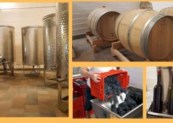 Altro - Rustico via Bionzo, Calosso - foto 21