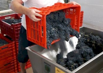 Altro - Rustico via Bionzo, Calosso - foto 25